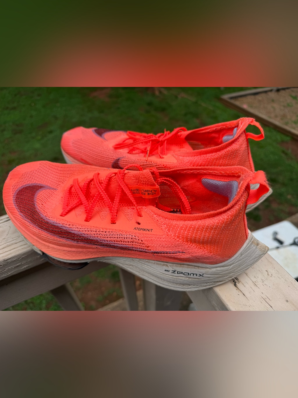 Nike Atomknit Zoomx Neon Coral Running Shoes